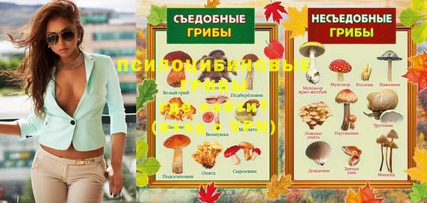дурь Абдулино