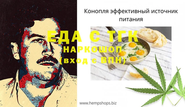 тгк Абаза
