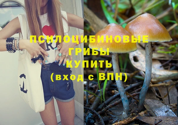 синтетический гашиш Абинск