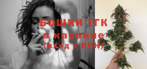 тгк Абаза