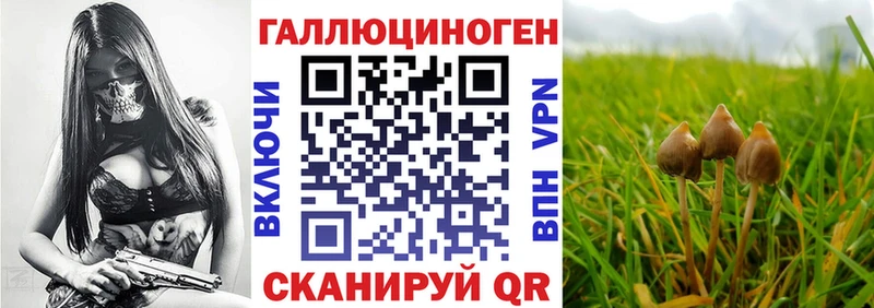 цена наркотик Красавино Галлюциногенные грибы MAGIC MUSHROOMS